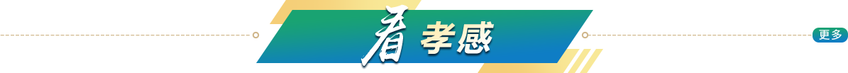 看孝感