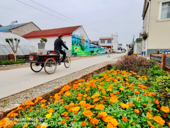 枝江市志愿服务扮靓乡村 新时代文明实践遍地开花