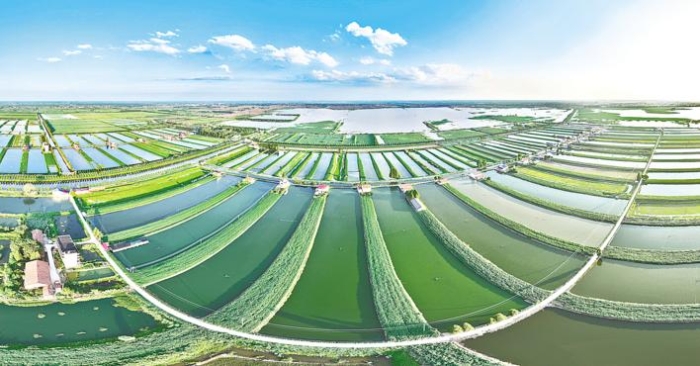 崇湖湿地风景如画湖北文明网