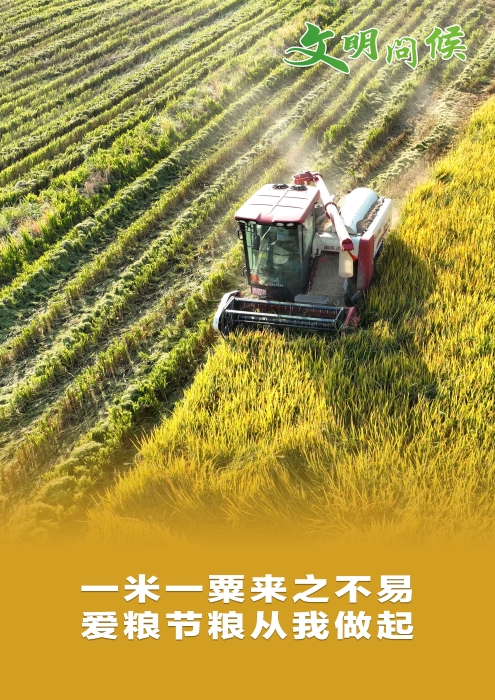 37一米一粟来之不易-爱粮节粮从我做起