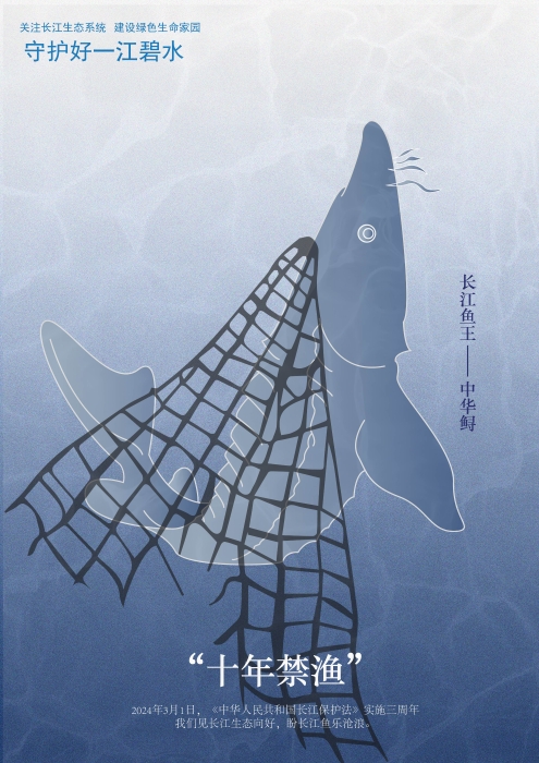 50保护长江鱼王 守护一江碧水