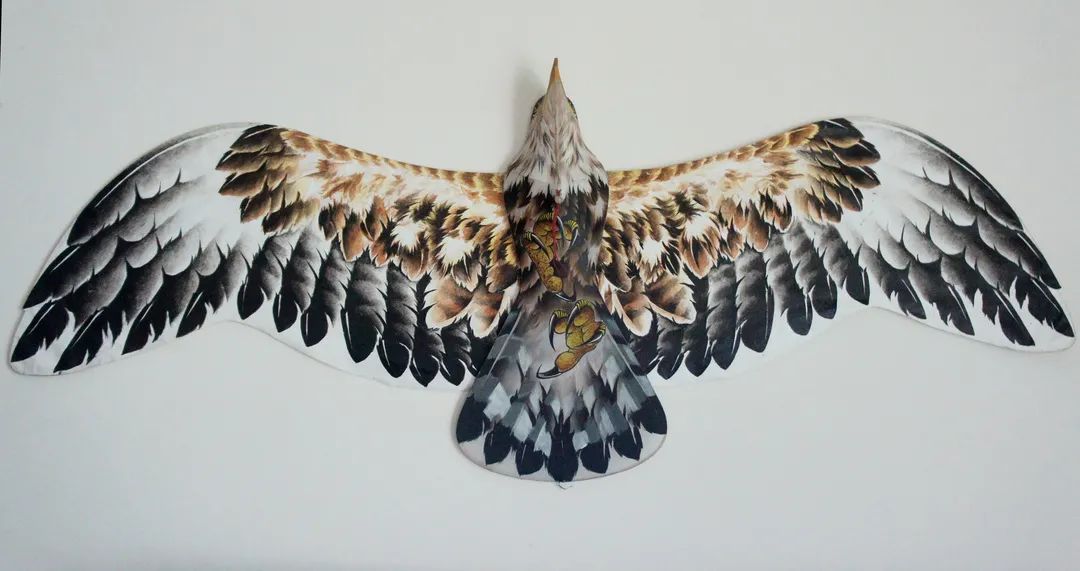 640?wx_fmt=jpeg&wxfrom=5&wx_lazy=1&#imgIndex=2