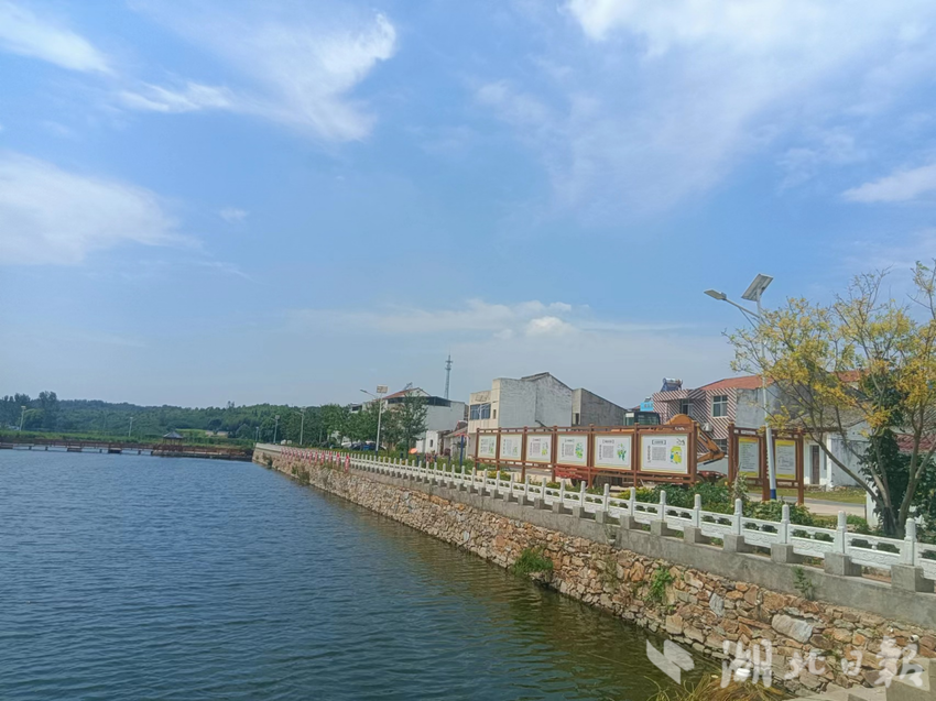 大槐树下话文明-杨家岗村.docx