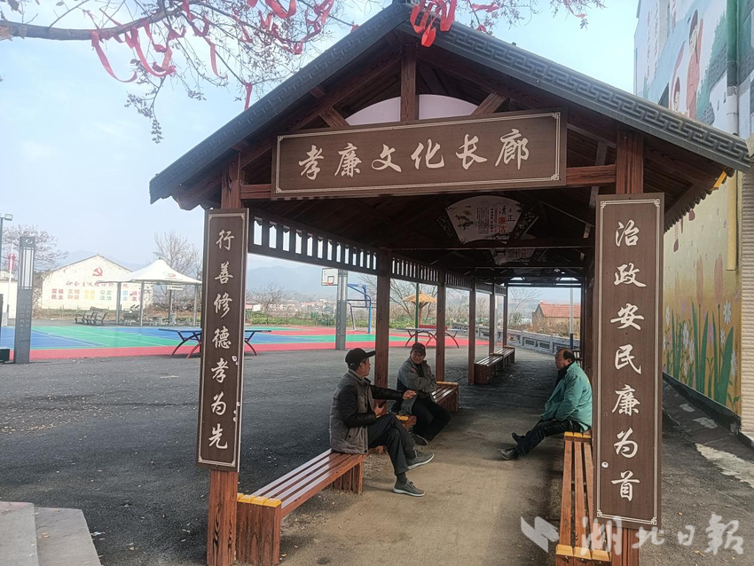 大槐树下话文明-杨家岗村.docx
